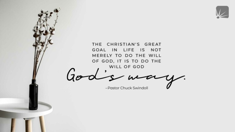 Busque hacer la voluntad de Dios a Su manera