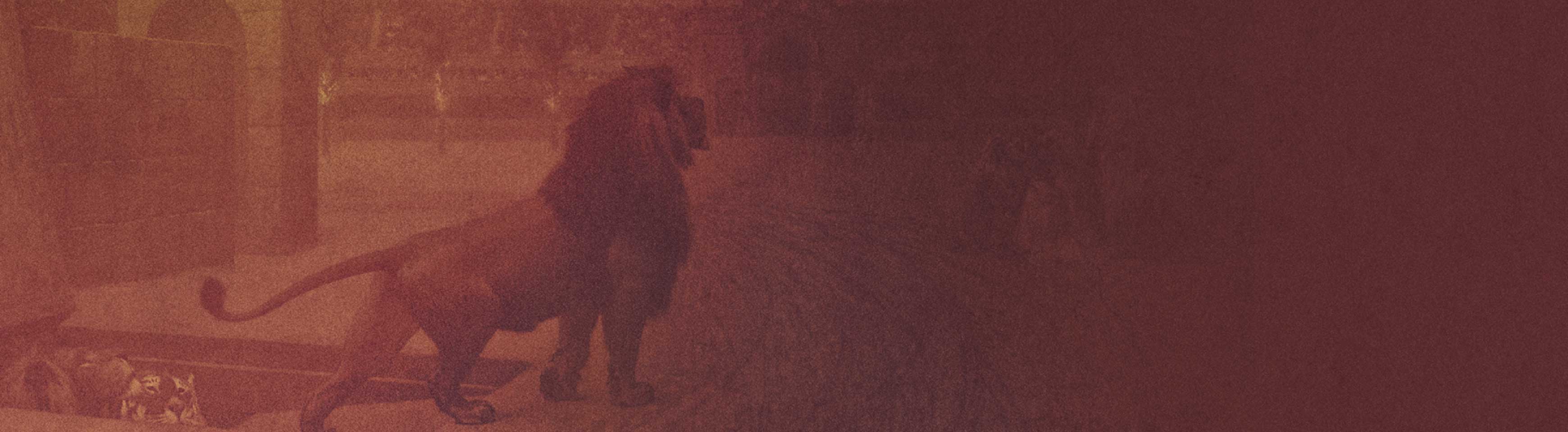 Valor extraordinario