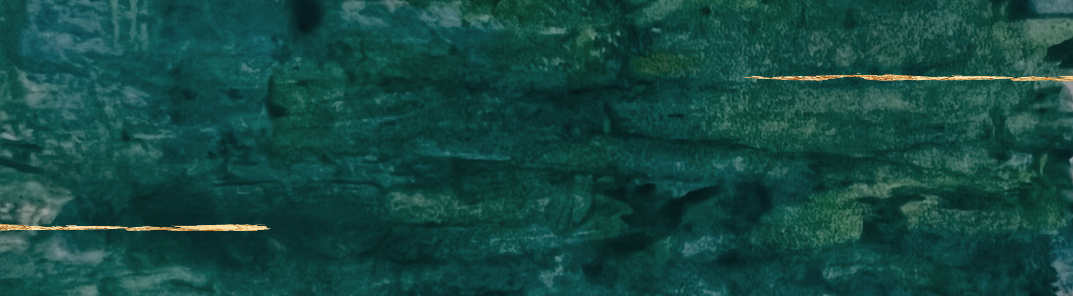 The Light of Christmas