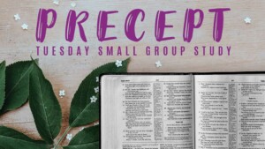 Precept Tuesday Bible Study
