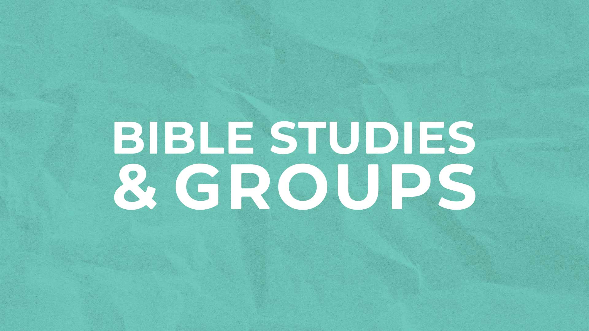 Bible Studies & Groups